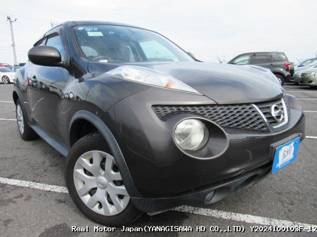 2010 NISSAN JUKE thumbnail 2