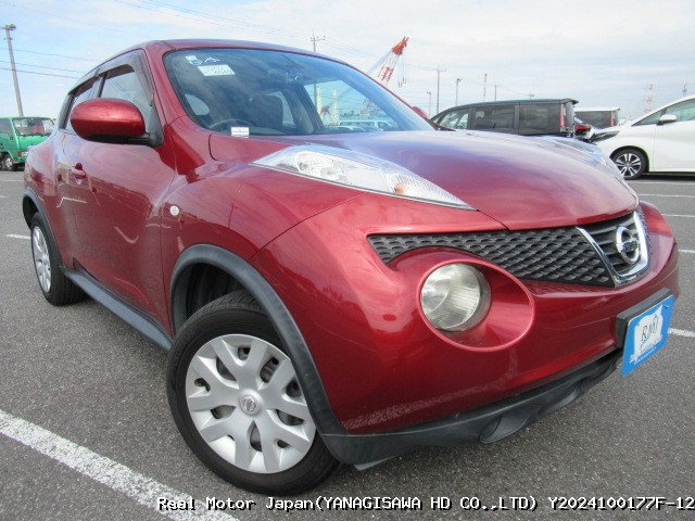 2010 NISSAN JUKE thumbnail 2