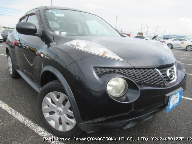 2010 NISSAN JUKE thumbnail 2