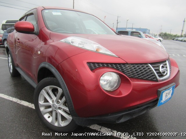 2010 NISSAN JUKE thumbnail 2